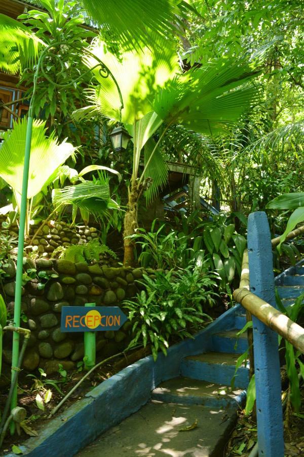 Hotel Luna Llena Nicoya Buitenkant foto