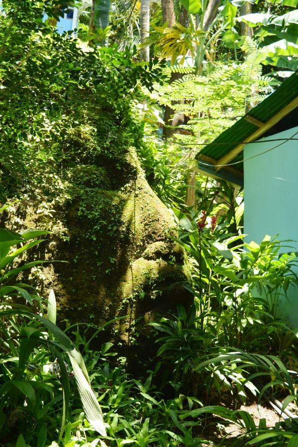 Hotel Luna Llena Nicoya Buitenkant foto