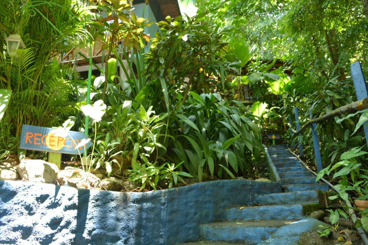 Hotel Luna Llena Nicoya Buitenkant foto